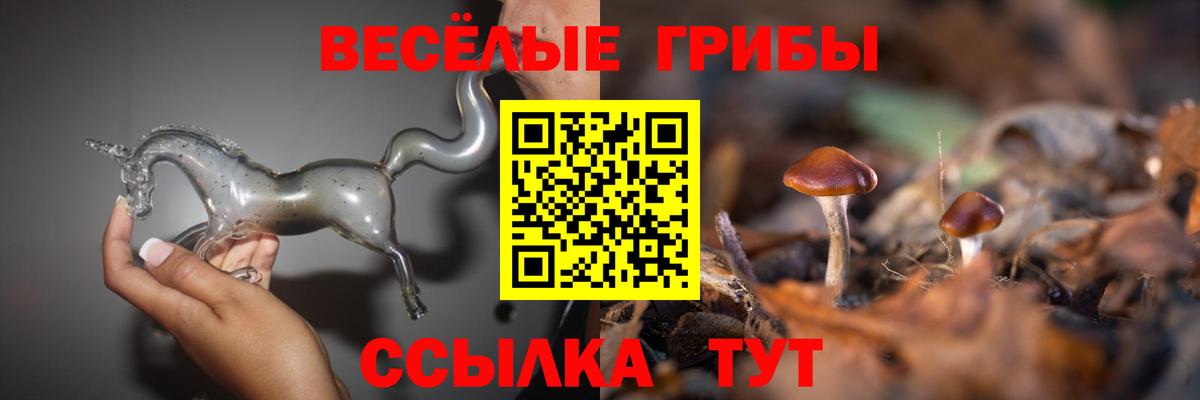Галлюциногенные грибы Magic Shrooms Белая Калитва